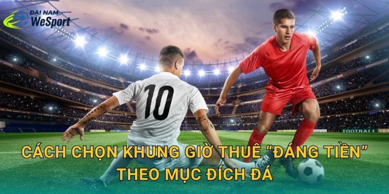 Cách chọn khung giờ thuê “đáng tiền” theo mục đích đá