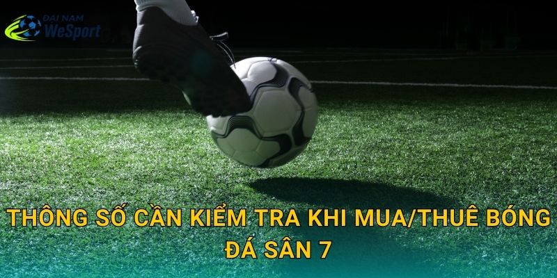 Thông số cần kiểm tra khi mua/thuê bóng đá sân 7