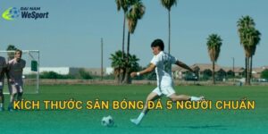 Kích thước sân bóng đá 5 người chuẩn: Dài rộng bao nhiêu là đúng?