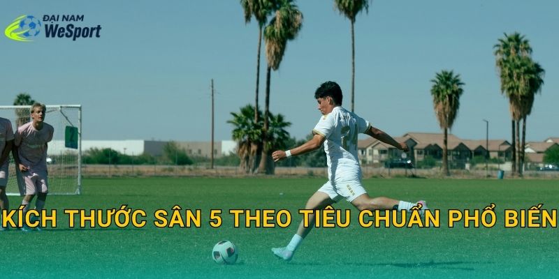 Kích thước sân bóng đá 5 người chuẩn: Dài rộng bao nhiêu là đúng? 2 Kích thước sân 5 theo tiêu chuẩn phổ biến