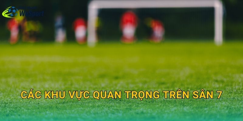 Các khu vực quan trọng trên sân 7