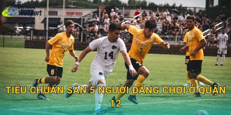 Tiêu chuẩn sân 5 người đáng chơi ở Quận 12