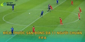 Kích thước sân bóng đá 11 người chuẩn FIFA: Quy định chiều dài, chiều rộng chi tiết