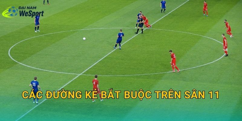 Các đường kẻ bắt buộc trên sân 11