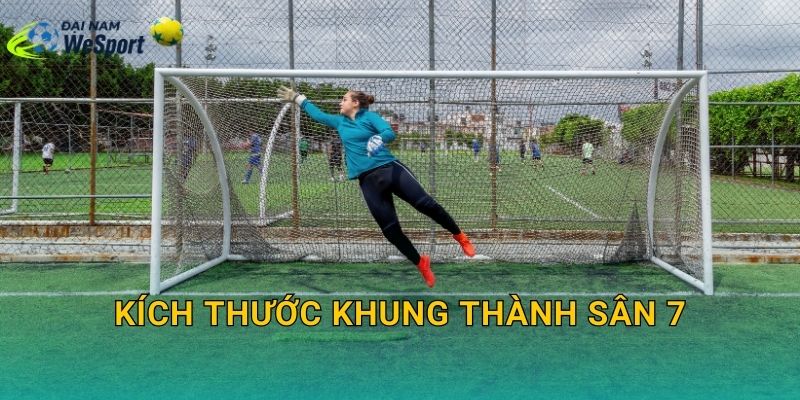 Kích thước khung thành sân 7: Thông số chuẩn và cách chọn đúng loại