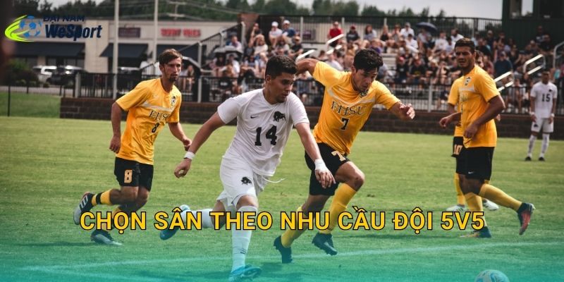 Chọn sân theo nhu cầu đội 5v5