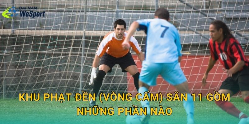 Khu phạt đền (vòng cấm) sân 11 gồm những phần nào
