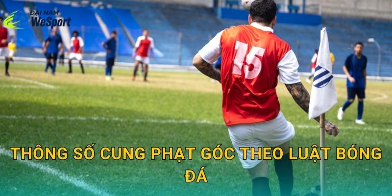 Kích thước cung phạt góc sân bóng đá: Bán kính chuẩn và cách kẻ đúng luật 2 Thông số cung phạt góc theo luật bóng đá