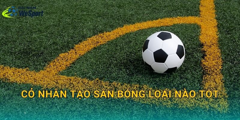 Cỏ nhân tạo sân bóng loại nào tốt? Cách chọn đúng theo nhu cầu khai thác