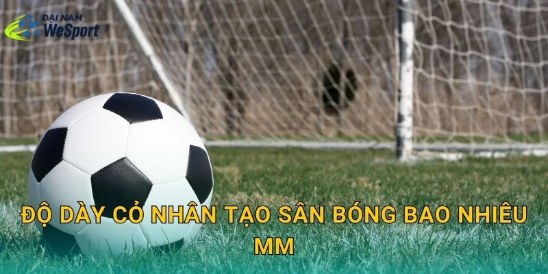 Độ dày cỏ nhân tạo sân bóng bao nhiêu mm là hợp lý? Chọn theo tần suất đá