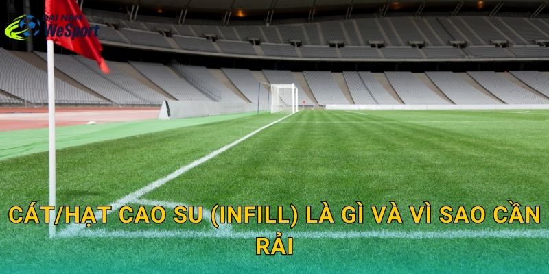Cát/hạt cao su (infill) là gì và vì sao cần rải