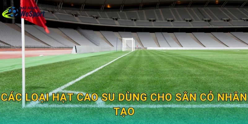 Các loại hạt cao su dùng cho sân cỏ nhân tạo