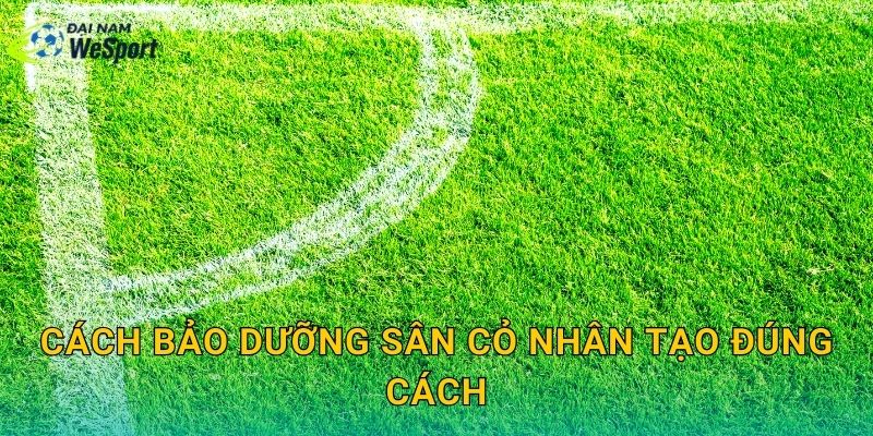 Cách bảo dưỡng sân cỏ nhân tạo đúng cách: Lịch làm chuẩn để sân luôn như mới