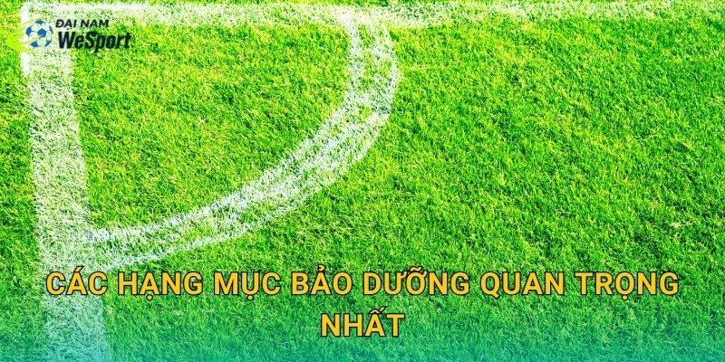 Các hạng mục bảo dưỡng quan trọng nhất