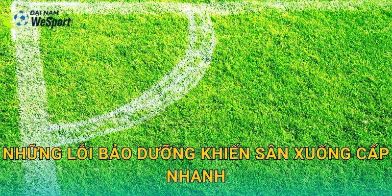 Những lỗi bảo dưỡng khiến sân xuống cấp nhanh