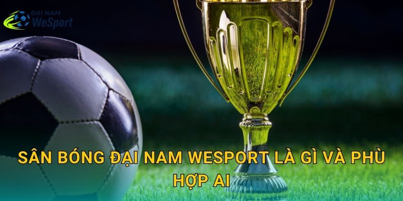 Sân bóng Đại Nam WeSport là gì và phù hợp ai?