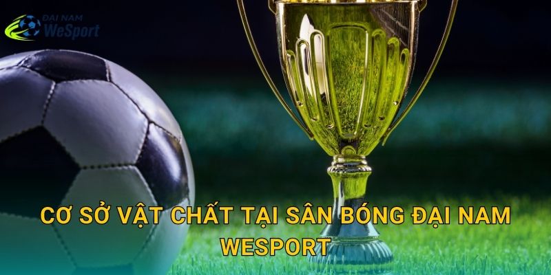 Cơ sở vật chất tại sân bóng Đại Nam WeSport