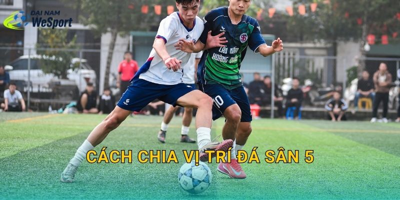 Cách chia vị trí đá sân 5: Phân vai đúng để đội đá mượt và ít vỡ trận
