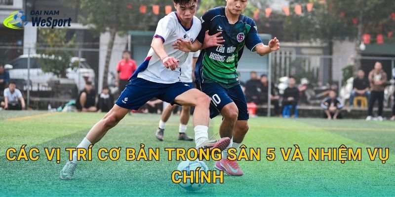 Các vị trí cơ bản trong sân 5 và nhiệm vụ chính