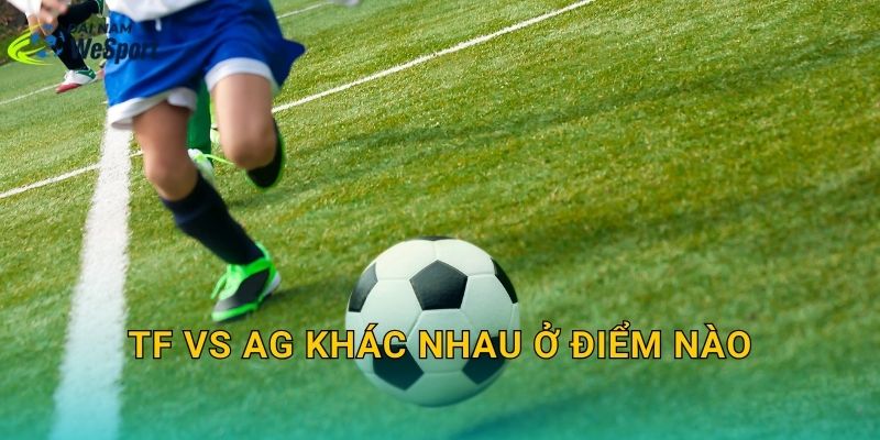 TF vs AG khác nhau ở điểm nào