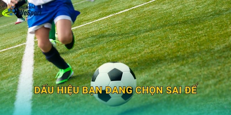 Dấu hiệu bạn đang chọn sai đế